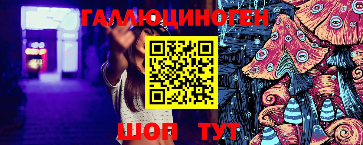 Зеленогорск  Псилоцибиновые грибы Cubensis  Вход с VPN 