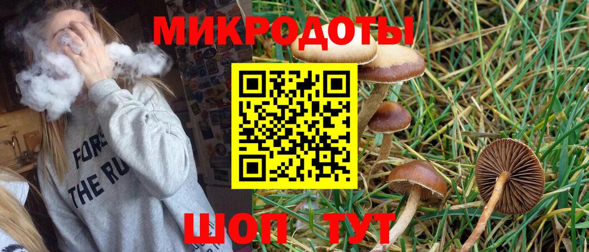 Галлюциногенные грибы GOLDEN TEACHER Зеленогорск